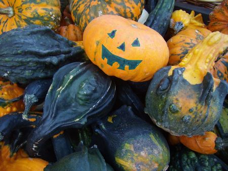 coarse pumpkinsの写真素材