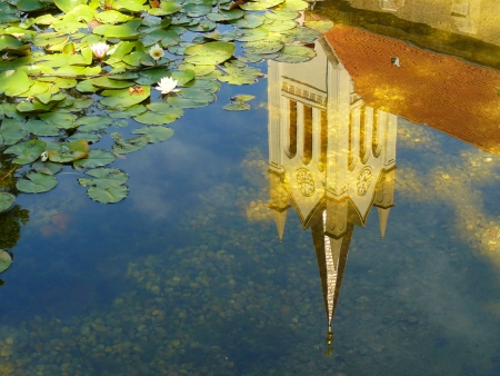 Reflection of a church with waterlilies, Keszthely town, Hungaryの写真素材