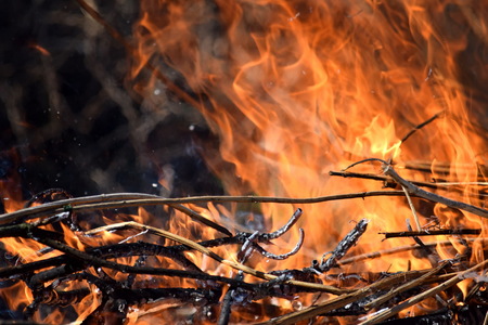 Burning Fire Firefighting Danger