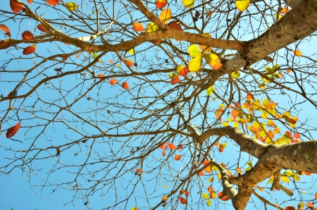 Spring time