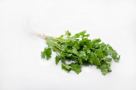 Parsley with white backgroundの写真素材