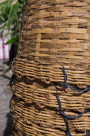 Woven cane baskets stack 2の写真素材