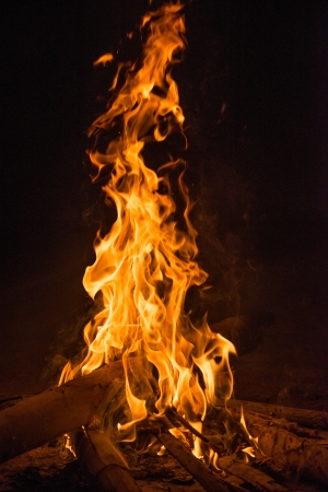 firecamp in night time の写真素材