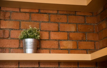 A tree pot against orange brick wallの写真素材