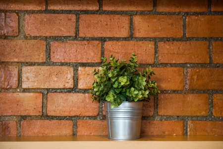 A tree pot against orange brick wallの写真素材