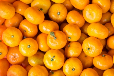 A pile of orangeの写真素材