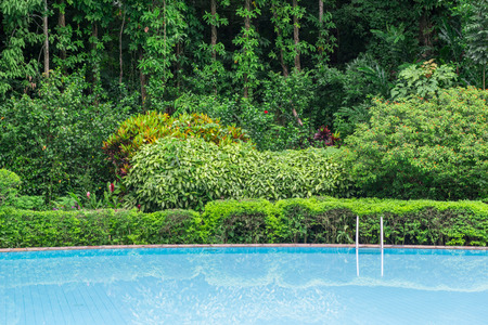 Swimming pool with stair in the green gardenの写真素材