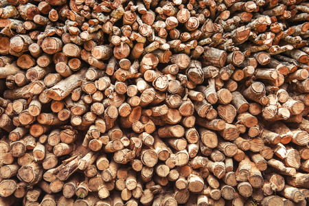 Background of dry chopped firewood logs in a pileの写真素材
