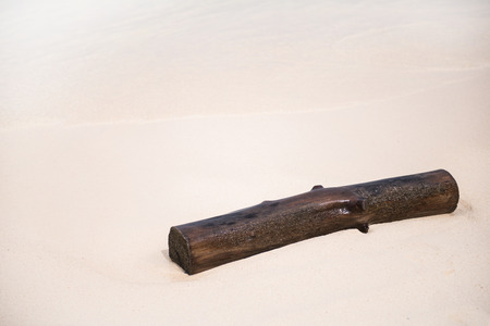 Old piece of wood on the beachの写真素材
