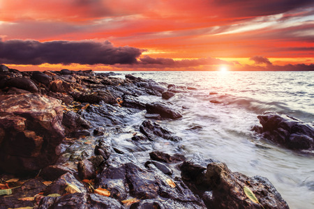 The landscape of shoreの写真素材