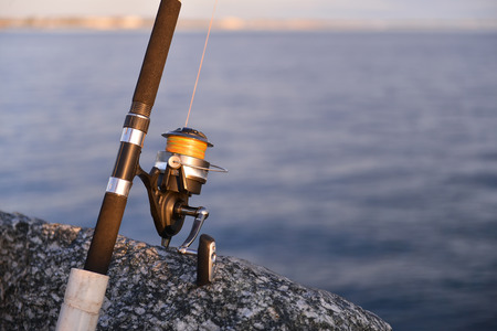 fishing reels and rods reels and rods