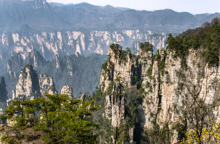 Zhangjiajie National Forest Park, Hunan, Chinaの写真素材
