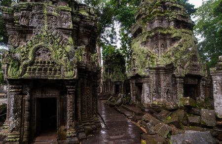 Ta Prohm temple ruins hidden in jungles, Siem Riep, Cambodiaの写真素材