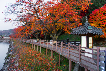 Wolyeonggyo bridge, Wooden bridge at Andong, South Korea.の写真素材