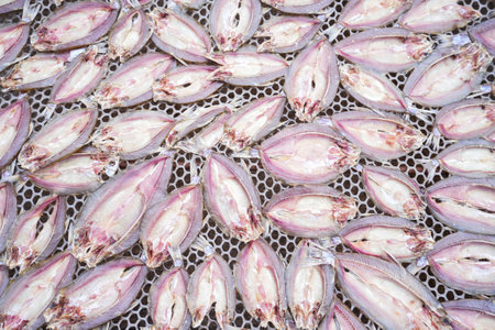 A dried fish on backgroundの写真素材