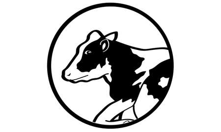 Illustration of cow for new year cardのイラスト素材