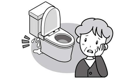 Granny in trouble because water leaks from the toilet tankのイラスト素材