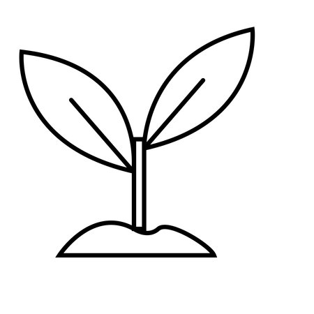 Plant icon. Outline plant icon for web design isolated on white backgroundの写真素材