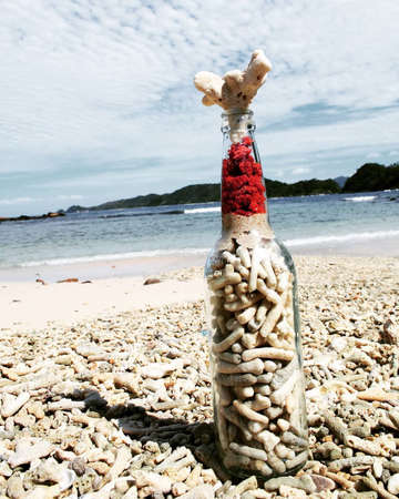 Arrangement of corals in bottles by the beach.の写真素材
