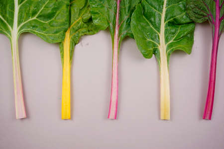 Swiss chard, healthy colorful rainbow leafy leaves vegetable plant flat lay on gray clear background. Food, still life photography. Above, horizontal image style.の写真素材