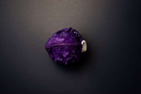 Beautiful red cabbage, dark red, purple leaf vegetable flat lay on dark grunge texture abstract background. Food, food porn, still life with dark photography. Center composition, horizontal style.の写真素材