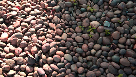 Natural colored pink pebble stones with radial sunlight. Rock abstract pattern texture background. Top view, horizontal image style.の写真素材