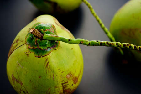 Group, pile of fresh green raw coconuts from plantation flat lay on black texture abstract background. Food, still life concept with dark photography.の写真素材