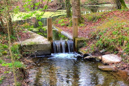 View of the waterfall in Oak Park Forest Park, Carlow, Irelandの写真素材