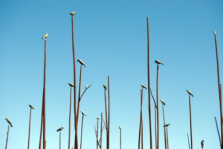 mimicking nature iron birds on the tips of the branchesの写真素材