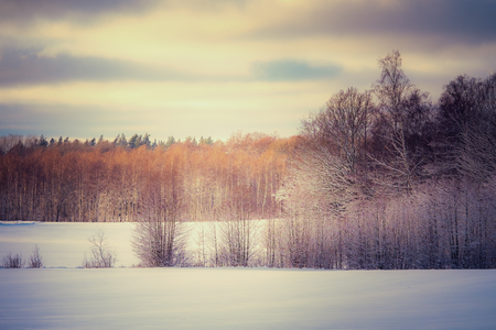 winter picture with snow on the fields and sun shining on the treesの写真素材