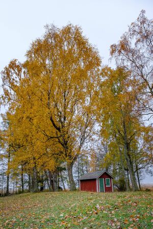 Small red house in forrest at fallの写真素材