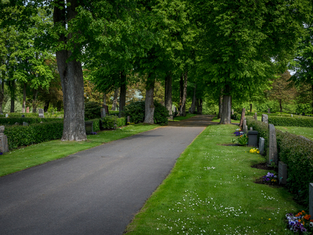 Path at Graveyardの写真素材