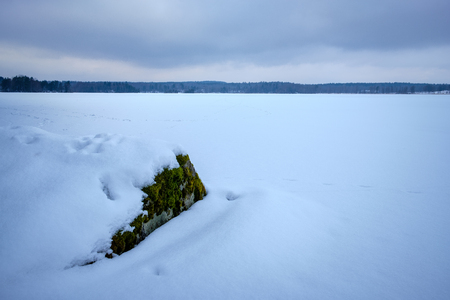 moss-covered stone that stands out of snowy iceの写真素材