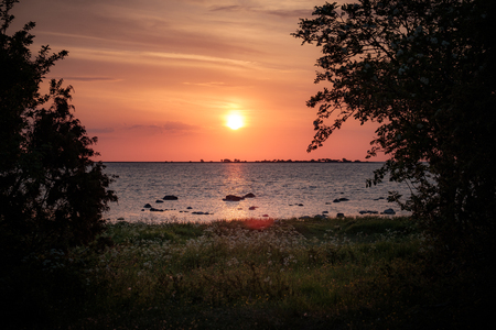 Sun is shining behind clouds between trees at the oceanの写真素材