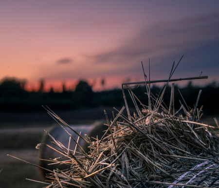 close-up of straw into a straw bale on a summer eveningの写真素材