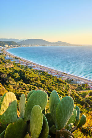 Cactus in the foreground and sea and mountains in the backgroundの写真素材