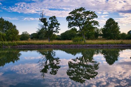 trees and clouds reflect in the water