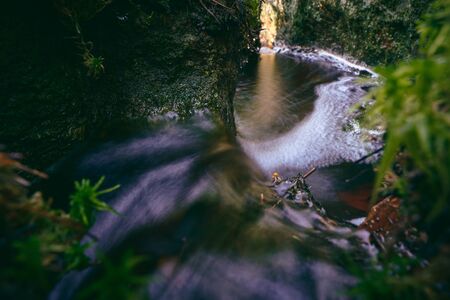 A small river in the forest with moss all around
