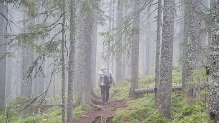 A man with a backpack is walking in a foggy forestの写真素材