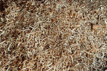 pile of wood chipsの写真素材