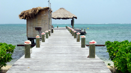 Caribbean Boat Dock Lined with Conch Shellsの写真素材