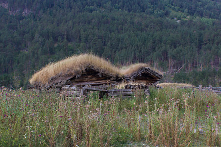 timbered house with grass roofの写真素材