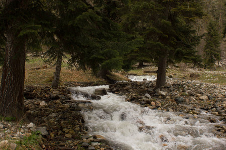 mountain riverの写真素材