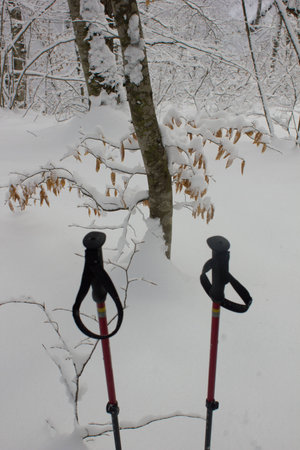 Treking poles in a snowの写真素材