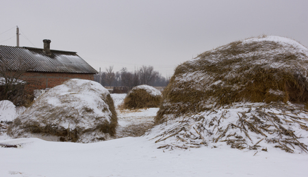 Haystacks near a houseのeditorial素材