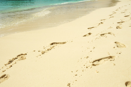 Footprints in the golden sand along crystal clear sea shore in the Maldivesの写真素材