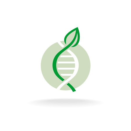 Plant nature genetic engineering symbol. Green leaf with stalk and DNA elements .のイラスト素材