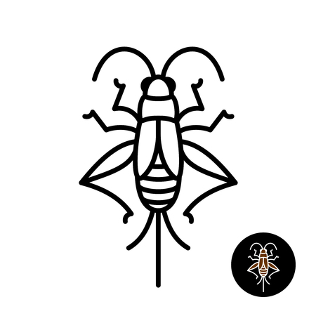 Cricket insect stylized. Grashopper relative bug linear style icon. Black stroke top view design.のイラスト素材