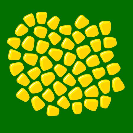 Corn seeds. Bunch of grains of fresh sugar corn. Objects separated for move every seed directly.のイラスト素材