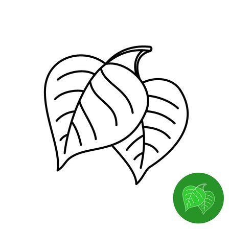Birch leaves line icon. Simple elegant style two birch tree leaves. Adjustable stroke width.のイラスト素材